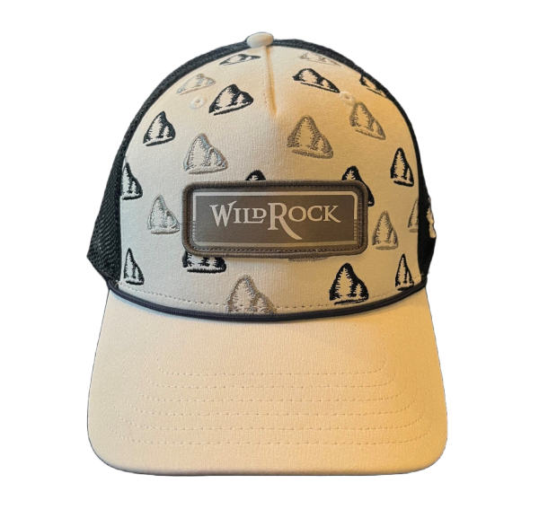 Under Armour Hat